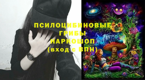 амф Аркадак