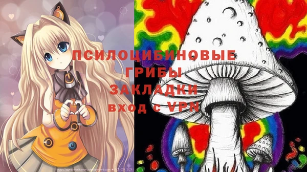 амф Аркадак